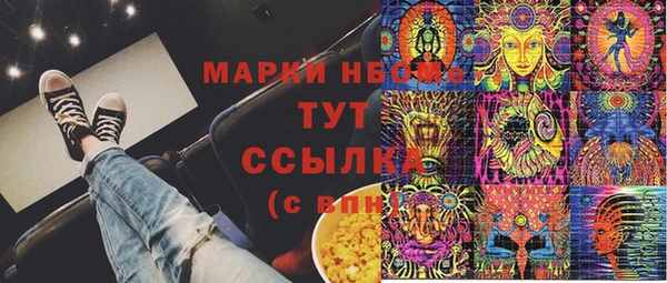 ГАЛЛЮЦИНОГЕННЫЕ ГРИБЫ Абаза
