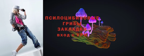 сатива Абдулино