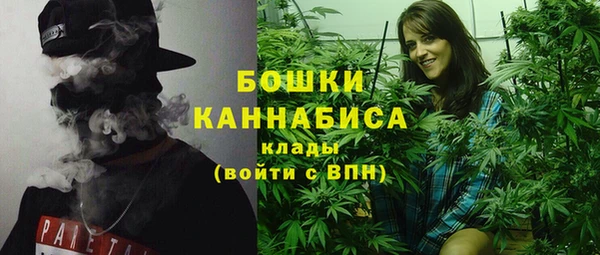 ГАЛЛЮЦИНОГЕННЫЕ ГРИБЫ Абаза