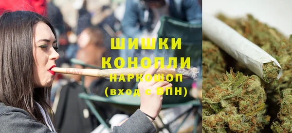 ГАЛЛЮЦИНОГЕННЫЕ ГРИБЫ Абаза