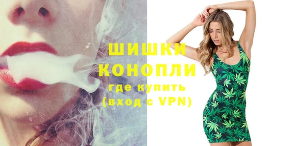 ГАЛЛЮЦИНОГЕННЫЕ ГРИБЫ Абаза