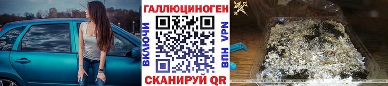 MEGA ТОР  Тимашёвск  Псилоцибиновые грибы Magic Shrooms 